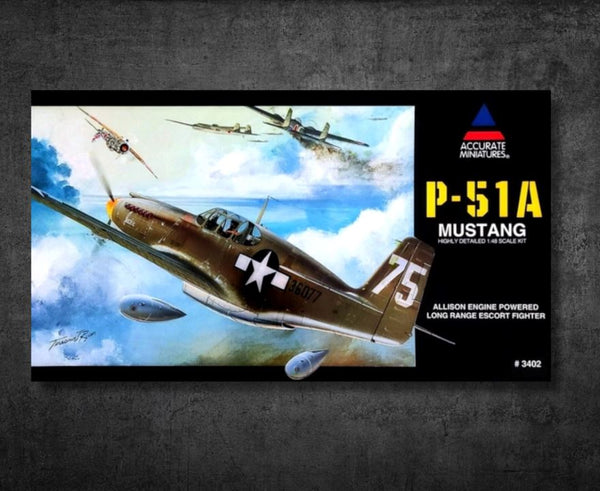 Accurate Miniatures P-51A Mustang Canopy Masks Kit Masx 